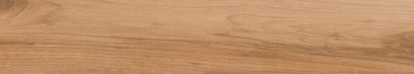APRICOT BROWN 20x120